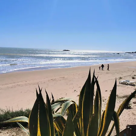 Giardino Sul Mare Apartment